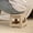 Beige #195, variant on Space Saving Small Stool Folding Stool For Home Office Outdoor