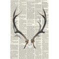thumbnail image 3 of Deer horns with newspaper - 24"x36" canvas - Print on demand, 3 of 5