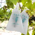 thumbnail image 2 of SHISUYAN White Protective Paper Bags for Grape 50pcs Help Fruits Grow Brighter and Heavier, 2 of 9