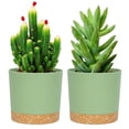 thumbnail image 1 of QCQHDU 2 Pack Plant Pot, Green Plastic Indoor Planter With Drainage Holes And Removable Base, 1 of 6