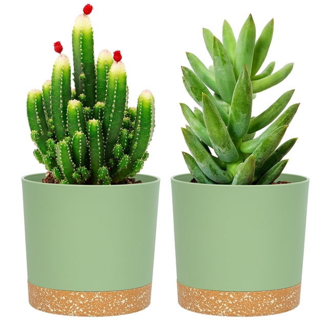 QCQHDU 2 Pack Plant Pot, Green Plastic Indoor Planter With Drainage Holes And Removable Base