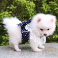 thumbnail image 4 of Dog Bowknot Harness with Leash Set For Small Medium Dogs Cat Lace Print Fashion Party, 4 of 5