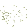 thumbnail image 1 of Bait Stoppers,50pcs Plastic Carping Fishing Bait Stops Fishing Stops Proven Performance, 1 of 3