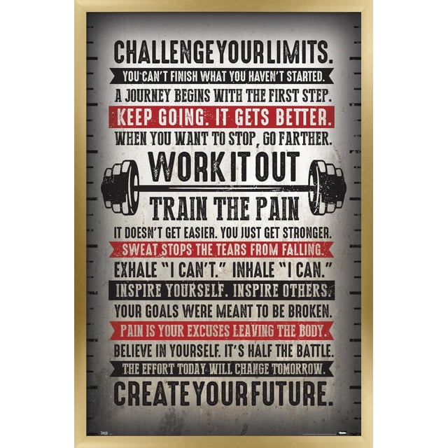 Affiche Murale Défiez Vos Limites, 14,725 Po x 22,375 Po, art Mural Encadré Motivationnel de Mise en Forme avec Texte Audacieux Noir et Rouge sur Fond Blanc Vieilli, Présentant un Graphique de Barre et des Citations Encourageant la Persévérance, la Force et la Croyance en Soi comme « Keep Go. It gets better. » et « Train the pain. » Sa Taille et Sa Conception le Rendent Adapté aux Chambres, Bureaux Ou gyms.