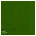 thumbnail image 1 of R&F Peintures Artisanales 2156 Bâtons de PIGMENT R&F 38ML Vert CADMIUM, 1 of 1