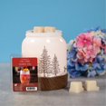 thumbnail image 4 of ScentSationals, Cubes de cire parfumés - Temps Tiki, 4 of 4