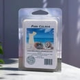 thumbnail image 5 of Cire de Soja Végane Pina Colada, Coulée à la Main, Cire Fondante Écologique pour Aliments et Boissons de Boulangerie, Lot de 4, 5 of 5