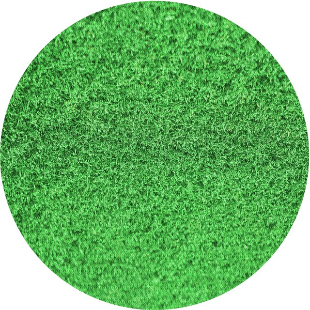 Ahgly Company Tapis d'Intérieur Ronds Transitionnels Verts Lavables à la Machine, 4 Pieds Rond
