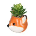 thumbnail image 3 of Plante succulente artificielle dans une jardinière renard, 3 of 4