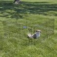 thumbnail image 2 of Midwest Homes For Pets 24" Exercise Pen with Step through Door, 2 of 9