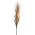 thumbnail image 1 of Bouclair Beige Faux Stem, 1 of 2