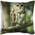 thumbnail image 1 of Homeport Dexter the Owl Throw Cushion, 1 of 1