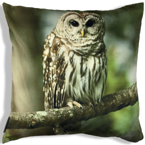 Homeport Dexter the Owl Throw Cushion