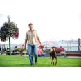 thumbnail image 4 of Chuckit! Jouet pour Chien Lance-Balle Sport Grand, 4 of 4