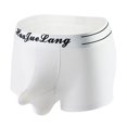 thumbnail image 3 of Fridja Men's Boxer Briefs And Trunks Charming Breathable Stretch Cool Comfortable Underwear Modern Fit Low Rise for Sports Performance, 3 of 4