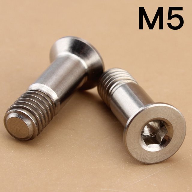 2 Pieces Bicycle Bike Titanium Alloy M5 Screws Cycling Pulley Bolt Rear Derailleur Pulley Guide Wheel Bolts