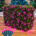 thumbnail image 5 of Novelty Lights 4x6 Pink LED Net Lights, 100 LEDs, Green Wire, Outdoor, 5 of 5