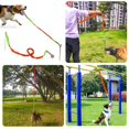 thumbnail image 3 of WIFKLSIIPG Dog Teeth Grinding Outdoor Tug of War Knotted Rope Tree Bungee Dog Toy Outdoor Tree Stump Rope Toy, 3 of 7
