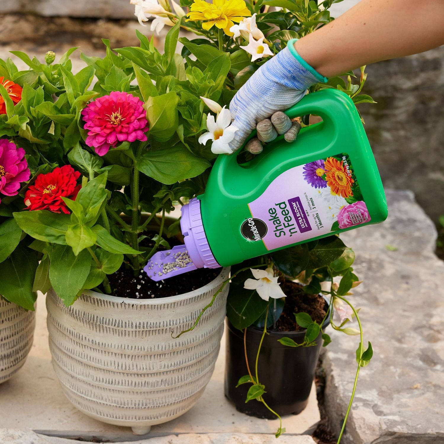 Miracle-Gro Shake N Feed Ultra Bloom Plant Food 10-18-9  2.04 Kg