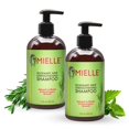 thumbnail image 1 of Mielle Rosemary Mint Collection Shampooing (Lot de 2), 1 of 4