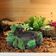 thumbnail image 4 of Lizard Feeding Bowl, Water Feeder Tortoise Resin Tortoise Feeder, for Aquarium, 4 of 8
