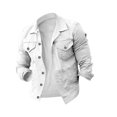 thumbnail image 2 of Birdeem Mens Lapel Slimfit Solid Color Pocket Button Long Sleeve Jacket, 2 of 4