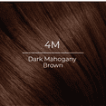 thumbnail image 3 of Root Touch-Up Permanent Hair Color - 24 Applications, 1 Kit - 100%  Gray Coverage - 4M Dark Mahogany Brown, 3 of 14