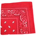 thumbnail image 1 of Lot de 3 Bandanas à Motif Cachemire 100 % Coton Double Face - 22 Pouces (Rouge), 1 of 2