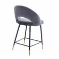 thumbnail image 3 of Plata Décor Import Inc – Luxurious Akira Bar Velvet Stool in Grey, 3 of 5