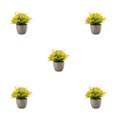 thumbnail image 3 of Decodeary Green Eco-friendly Artificial Money Tree In Pot Long-lasting Durability Realistic Appearance orange rose 5Set, 3 of 6