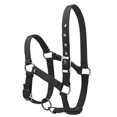thumbnail image 2 of Cheval Licou Épaissi Ajustable Créatif Cheval Bride Collier de Tête de Cheval, 2 of 7