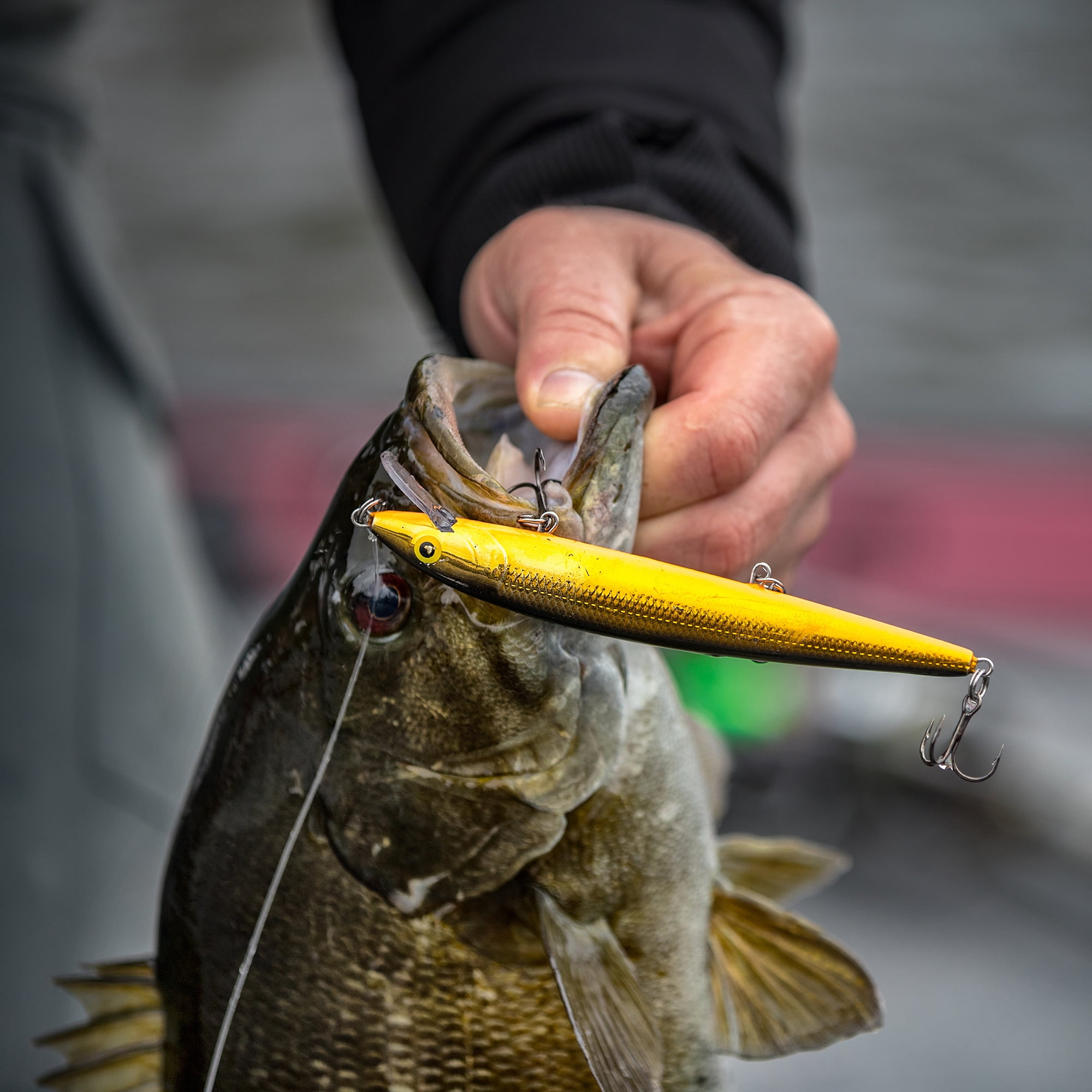 Rapala Husky Jerk 10 cm, leurre dur Argent Bleu