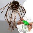 thumbnail image 4 of 10pcs Soft Fishing Lure Dice Shape Whisker Design Bright G7O9 D5P6 Bait R4Y W8B3, 4 of 9