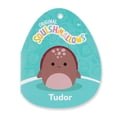 thumbnail image 5 of Peluche Squishmallows 14 pouces - Tudor la Tortue luth marron, 5 of 5