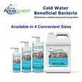 thumbnail image 4 of Aquascape Cold Water Beneficial Bacteria (Liquid) - 8 fl oz, 4 of 6