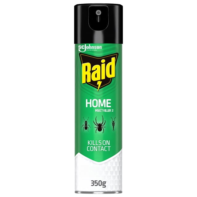 Raid Home Insect Killer 350g spray can with green and white label and black cap, kills ants, spiders, and other household pests on contact, suitable for indoor and outdoor pest control.