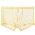 thumbnail image 1 of Mens Mesh Comfortable Sweat-Absorbing Ultra-Thin Underwear with Flat Angle Pants, 1 of 2
