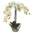 thumbnail image 2 of Phalaenopsis w/Glass Vase Silk Flower Arrangement, 2 of 2