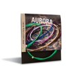 thumbnail image 2 of Aurora AURGRB-45 Standard Cordes de Guitare Basse 45 m Gauge - Vert, 2 of 2