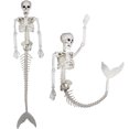 thumbnail image 3 of ZheElen Plastic Skeleton Posable Joints For Unique Halloween Decoration Size For Needs Posable Joints Skeletons 1Set, 3 of 6