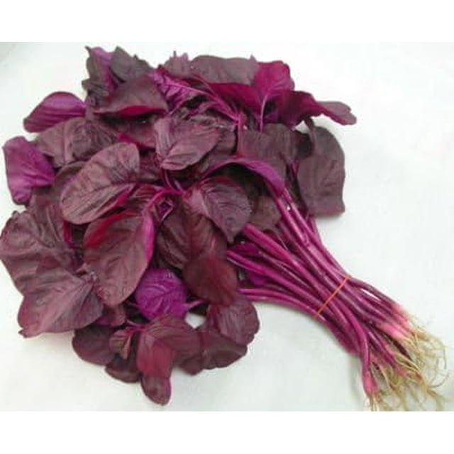 HJADGG Red Amaranthus Seeds, 200 Count, Easy Grow, High Yield, Non-GMO