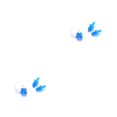 thumbnail image 3 of stanreset Waterproof Nose Clip Swimming Anti-noise Earplug for Protection Ear Protector Blue 2Set, 3 of 6