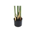 thumbnail image 3 of 160cm Realistic Artificial Palm Tree – 15 Leaves – Tropical Floor Plant with Premium Pot and ultra Natural Touch – Home, Office, Hotel, or Commercial Décor, 3 of 3