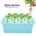 thumbnail image 4 of 11 Holes Hydroponic System Soilless Culture Box Hydroponic Culture Hydroponic System For Plant 11 Holes Hydroponic System Grow Plant Flower Water Soilless Culture Box 110VBlue, US, 4 of 8