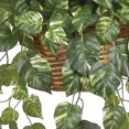 thumbnail image 3 of Nearly Natural 6517 Pothos Hanging Basket Silk Plant- Green, 3 of 10