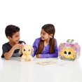 thumbnail image 4 of Little Live Scruff-a-Luvs ™ Blossom Bunnies, 4 of 8