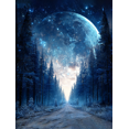 thumbnail image 1 of Magical Moon Forest Snowy Path Canvas Wall Art 15.75x11.81 Inches, 1 of 8