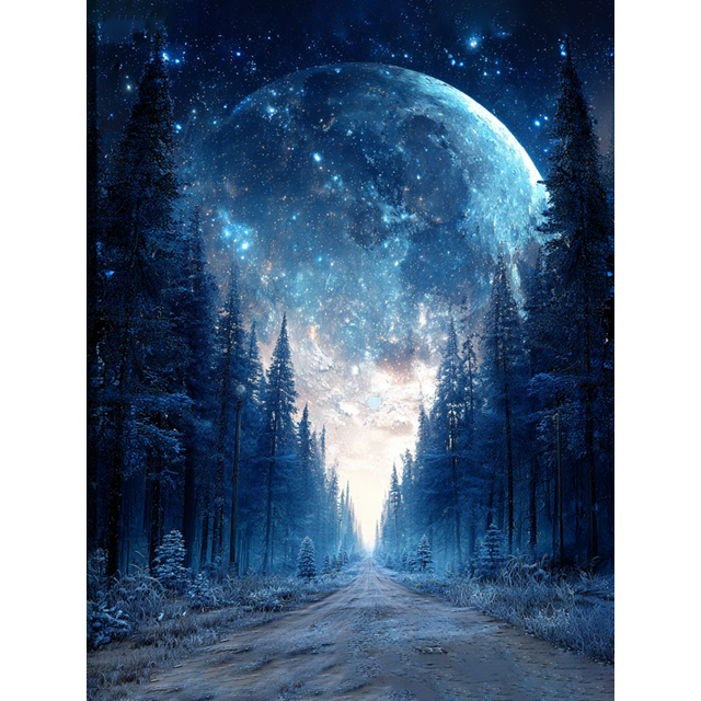 Magical Moon Forest Snowy Path Canvas Wall Art 15.75x11.81 Inches