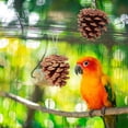 thumbnail image 4 of Birdeem Toy Pinecone Soothing Supplies, 4 of 8