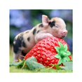 thumbnail image 2 of Rhinestone Needlework Embroidery Strawberry Cute Pig Painting Needlework stitchwork Diamond Cross-stitch Needlework Stitchwork Drawing Oilcloth, 2 of 7